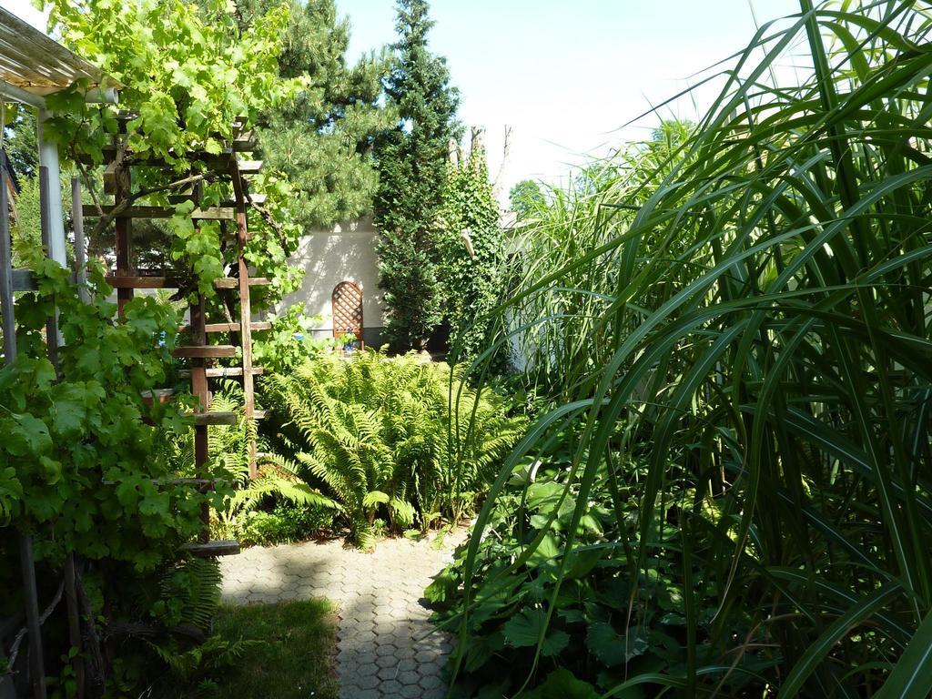 Pension Muench "Am Anger" Neuseusslitz Bagian luar foto